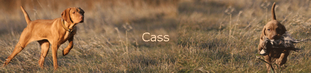 Cass