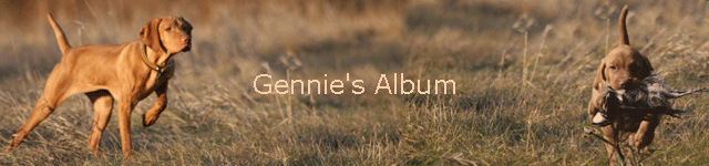 Gennie's Album