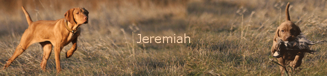 Jeremiah