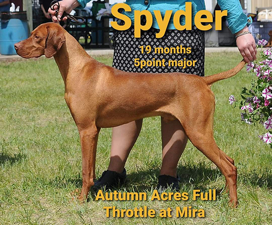 Spyder Autumn Acres Full Throttle At Mira